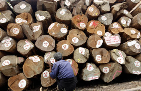 Image for article New rules on Burmese Teak imports already affecting market